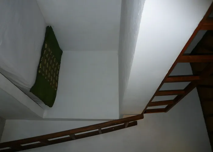 Anda